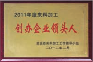 创办企业领头人